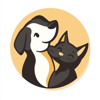 Давно пора понять 🐾