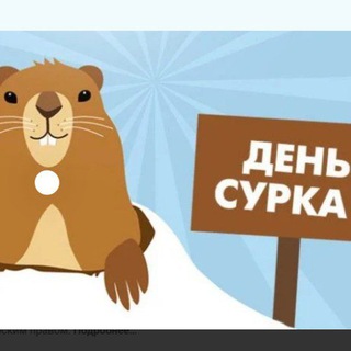 День Сурка 🦦