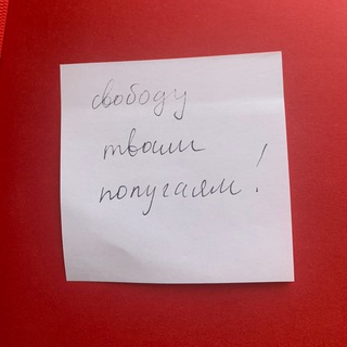 Свободу попугаям