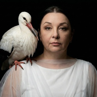 ♩♪♫ СИМФОНИЯ ЧИСЕЛ ТВОЕЙ СУДЬБЫ ♫♪♩