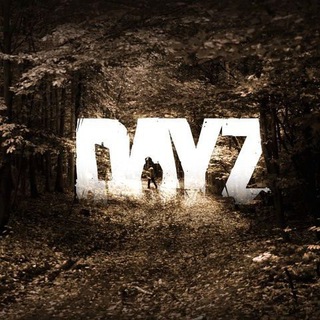 DAYZ ЭТО ЖИЗНЬ