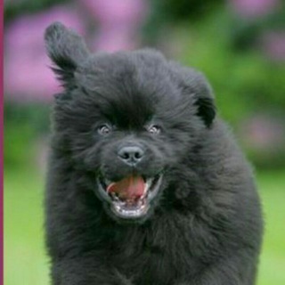 Димыч, Ёбург, таксист