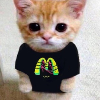 Большая доча228