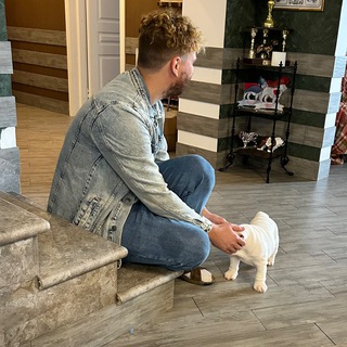 Жизнь одной глухой собаки