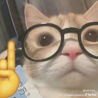 𝐝𝐞𝐚𝐫 𝐝𝟏𝐚𝐫𝐲