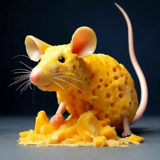 СЫРНАЯ КРЫСА И Ко🧀