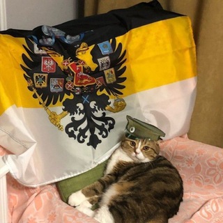 Дырка Деда ⬛️🟨⬜️