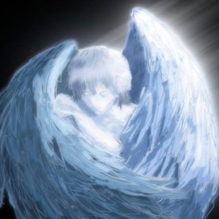 blind dynasty (BD)🧛🏻