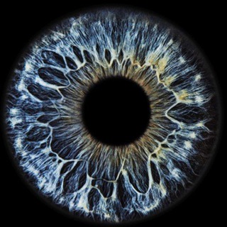 Deephouse,afrohouse, deepprogressive , Ethnotechno,afrohouse, Indiedance,organichouse, progressivehouse, клубная, электронная.