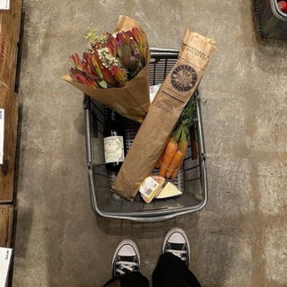 притворник