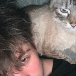 jagaryants defreol ™️