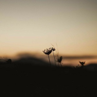 Деган б|аьсте