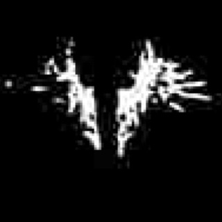 Deilas 🧑🏻‍🚒⛑