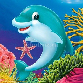 Детский сад 13 "Дельфин"