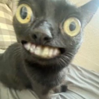 delin СЛИВАЮ ПРИВАТ РЕДУКСЫ