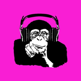 Дело в том, что я слушаю очень много новой музыки