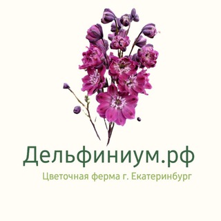 Дельфиниум.рф Цветы Екатеринбург