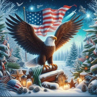 Демократия DSN