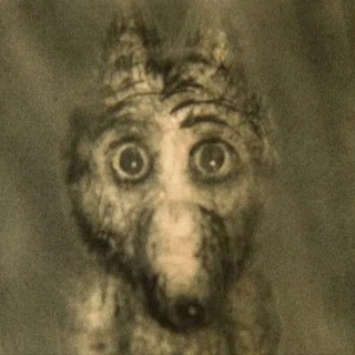 Мыши съели письма и записки