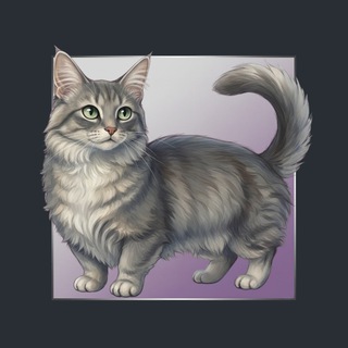 Deniс's Meme Cave 🟪