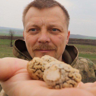 Денис Тихая охота грибы