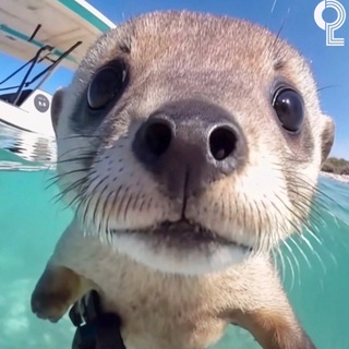 Deokishisuu - жизнь киберспортсмена