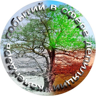 📆 Календарь событий в сфере депиляции