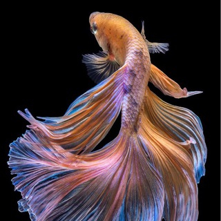 Новости с Глубины