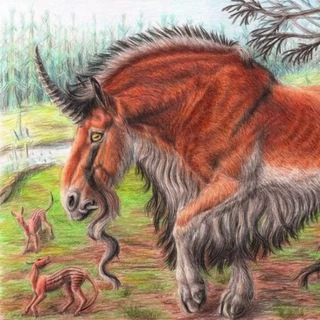 Депутат в загоне