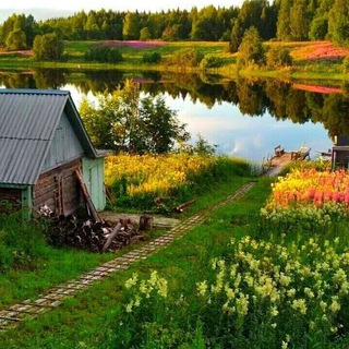 Деревенские задоринки