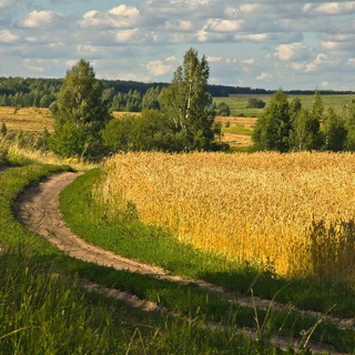 Деревенские ништяки 🐔🦆🐂🐝