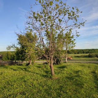 Деревня - Новая Дорога