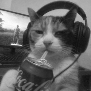 мир фальши | песни из тт