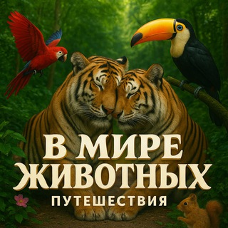 Design — Дизайн / Декор / Интерьер / 2E