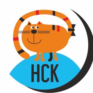 Рыжий Кот Школа дизайна НСК