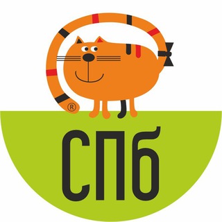 Школа Дизайна «Рыжий Кот» СПб