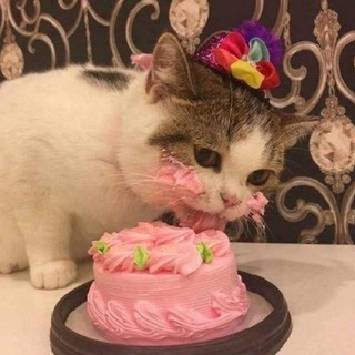 Д Е С Е Р Т Ы