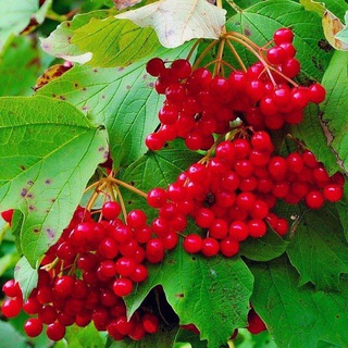 Детский сад "N184"👫