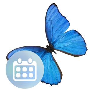 Воспитатель/Дошкольник/Детский сад