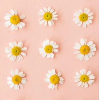 Детство в ромашку🌸