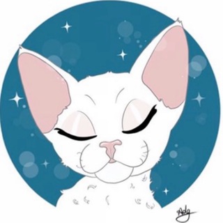 Rocat of Hearts 🦇 DEVON REX