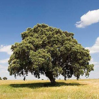 Защита капитала (hedge) инвестора, трейдера. Как торговать и когда собирать опционы... Pair Trading как hedge.