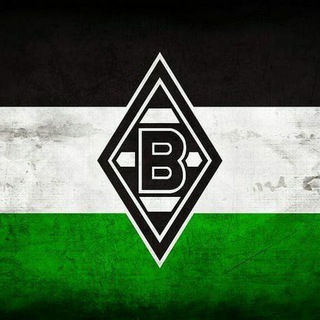 Die Fohlen | Borussia Mönchengladbach