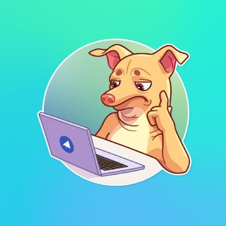 Дайджест контента