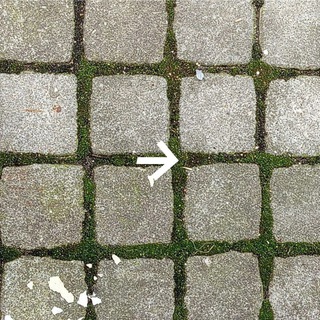 Любопытные / digidi cards