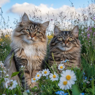 Свердловская область: цифровизуем строительство сообща и невзирая на! 📈