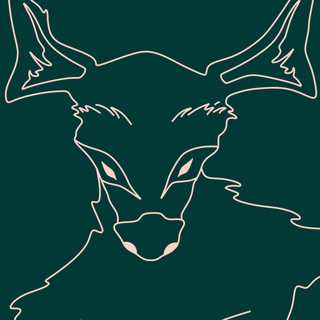 andrew's universe 𖢘