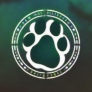 Дикая жизнь | познавательный канал про природу и животных