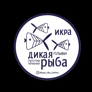 «ДИКАЯ РЫБА»