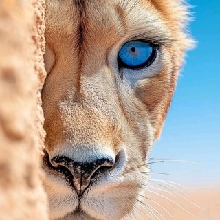 Дикие факты